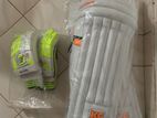 Cricket Set