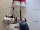 Cricket Set