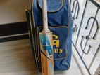 Cricket set