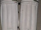 Cricket Pad Set