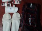 Cricket set