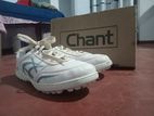 Cricket Shoe