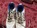 Cricket Shoes