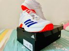 Cricket Shoes