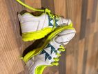 Cricket Shoes