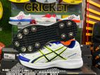 cricket shoes Nail