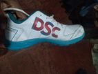 Cricket Shoes