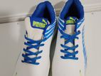 Cricket Shoe