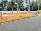 CRIPS ROAD GALLE LAND FOR SALE