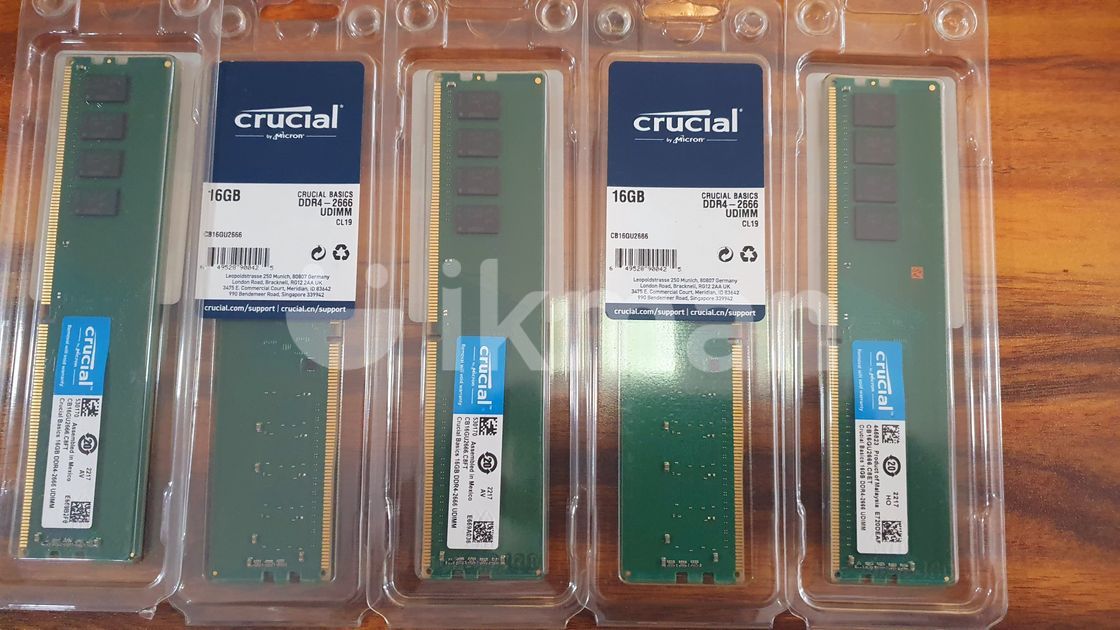 Crucial Basics Gb Ddr Mhz Udimm Ram Module For Desktop Green