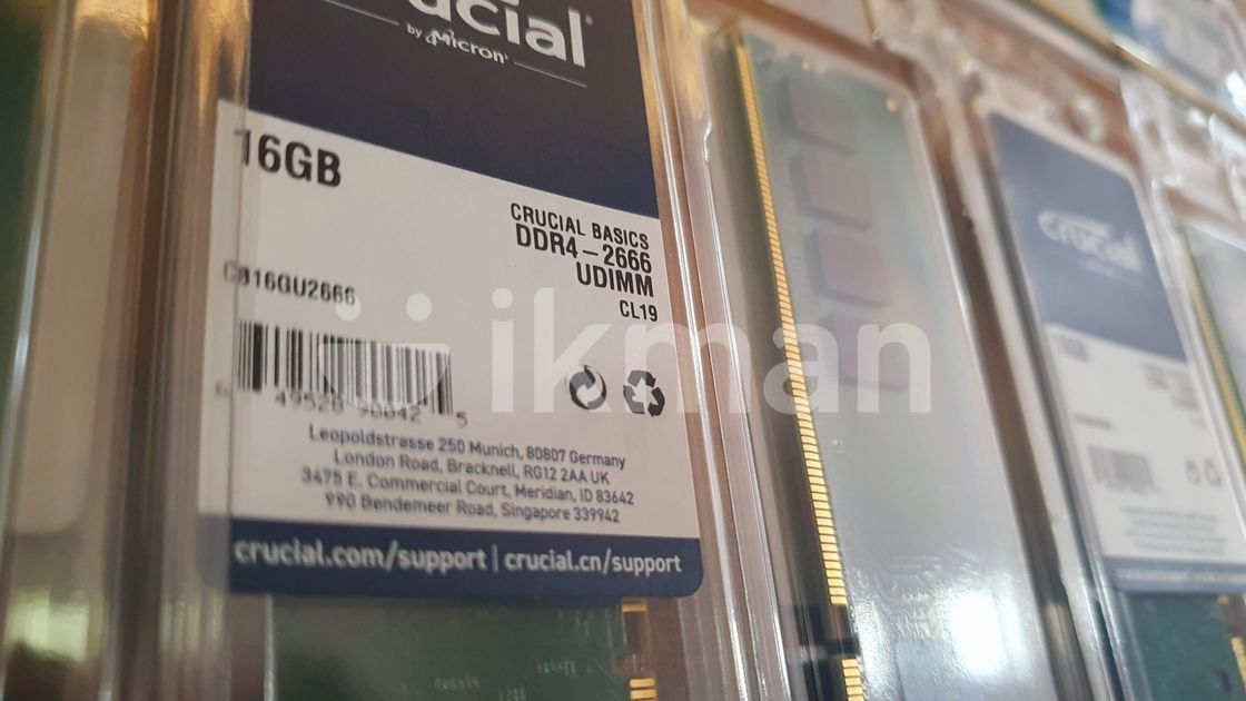 Crucial Basics Gb Ddr Mhz Udimm Ram Module For Desktop Green For Sale In Kohuwala Ikman