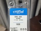 Crucial DDR5 16GB RAM 5600Mhz