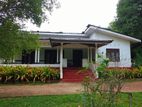 Cultivated Coconut 22.5 Acres , Land for Sale at Godigamuwa, Badalgama.
