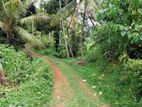 Cultivated Land for Sale in Dikwella, Matara Scenic Environment.