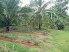 Cultivated Land for Sale in Minuwangoda, Close to Airport Road