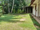 Cultivated Land With 4 Bedroom House For Sale In Padukka - CL739