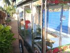 Food Cart