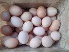 Country Incubated Eggs