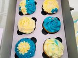 Cup Cakes Orders