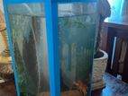 Curve Glass Fish Tank