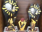 Customize Cricket Trophies