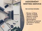 Customized Assignment Support Service