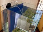 Nano Designed Fish Tank