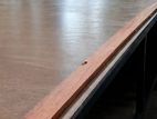 Cutting table