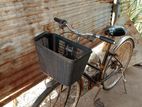Cycle