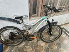 Cycle