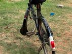 cycle