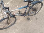 Cycles