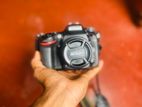 D 7100 with 50mm 1.8f
