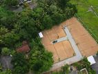 D Piliyandala Kottawa Road Land for Sale