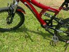DSI Bicycle