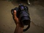 Nikon D3100