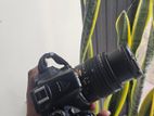d3500