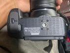 D5300