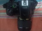 D5600 With 3 Lenses