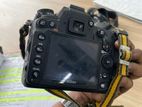 D7000 Nikon