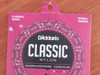 D'Addario Classical String Set