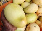 Mangoes