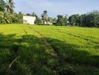 දැනට පදිංචි තනිමහල් නිවසක් විකිනිමට කොටිටාවෙි පොල්ගස්ඕවිට