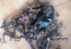 Daihatsu Mira LA300 Engine Wireharnesses in කොළඹ