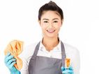 daily and staying domestic helpers