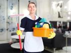 Daily and Staying Housemaid cleaning services