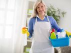 daily and staying housemaid service