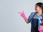 Daily and Staying Housemaid Service