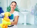 daily and staying housemaid service