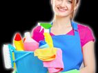 Daily and Staying Housemaid services.